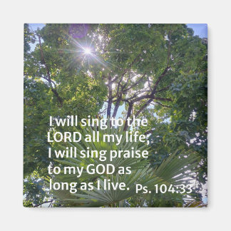 Imán Salmo 104:33 Cantaré al Señor toda mi vida..