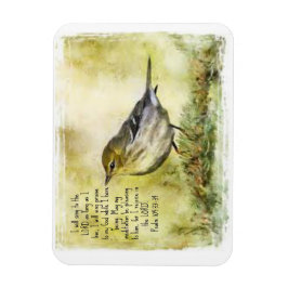 Imán Salmo 104 Magnet