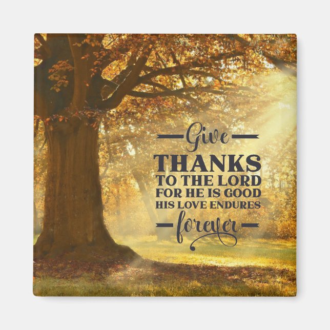 Imán Salmo 107:1 Doy gracias al SEÑOR por ser bueno (Frente)