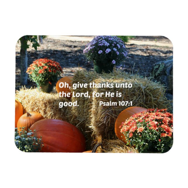 Imán Salmo 107:1 Oh, gracias al Señor... (Horizontal)