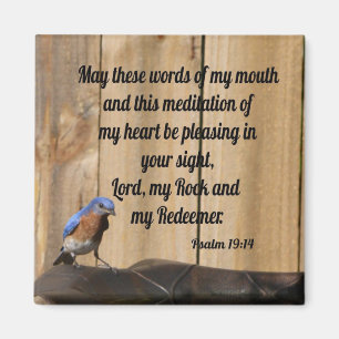 Imán Salmo 19:14