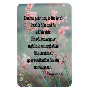 Imán Salmo 37:5-6