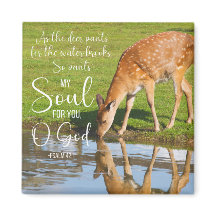 Salmo 42:1 Mientras los ciervos se acercan a la Bi