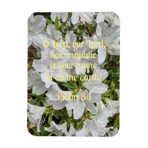 Imán Salmo 8:1 O Señor, nuestro Señor, qué majestuoso e