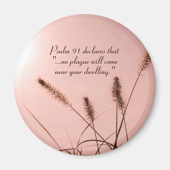 Imán Salmo 91 Ninguna plaga se acercará a tu vivienda (Frente)