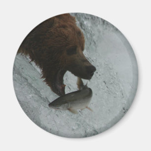 Imán Salmones de cogida del oso de Alaska