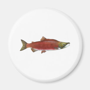 Imán Salmones de Sockeye