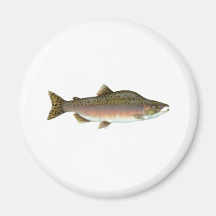 Imán Salmones rosados