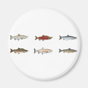 Imán Salmones salvajes