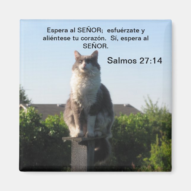 Imán Salmos 27:14 y gato (Frente)