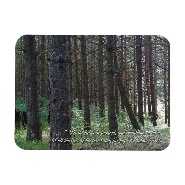 Imán Salmos 96:12 Inspiradores (Horizontal)