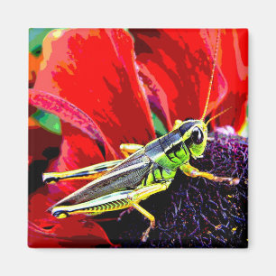 Imán Saltamontes