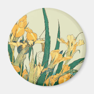 Imán Saltamontes Hokusai y el iris Japón