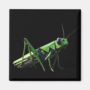 Imán Saltamontes Mecánico