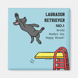 Imán Salto negro de Labrador