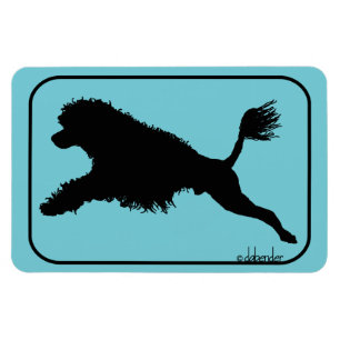 Imán Salto portugués del perro de agua