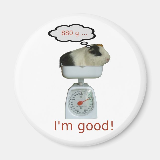 Imán Salud de los Cerdos de Guinea (Frente)