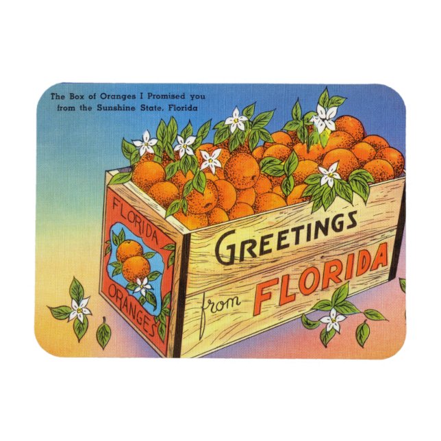 Imán Saludos antiguos de Florida Citrus Fruit (Horizontal)