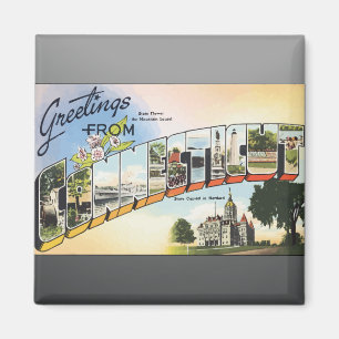 Imán Saludos de Connecticut, vintage