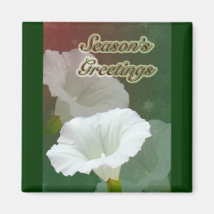 Imán Saludos de temporada - White Bindweed