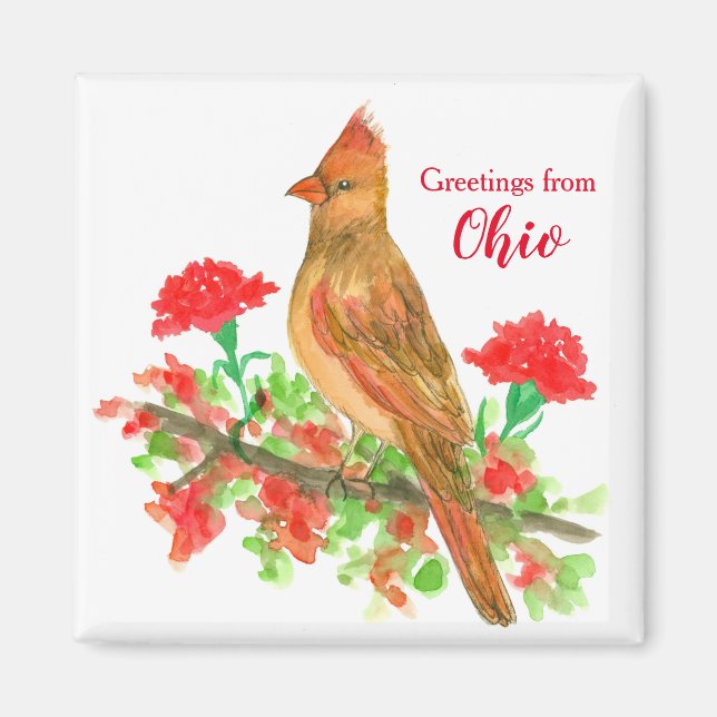 Imán Saludos del Pájaro Estatal Cardinal de Ohio (Frente)