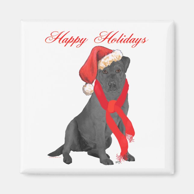 Imán Saludos Navideños de Labrador Retriever Negro (Frente)