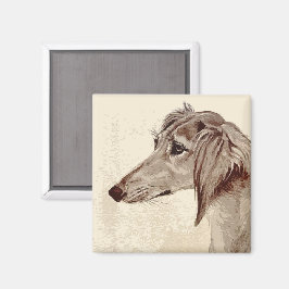 Imán Saluki