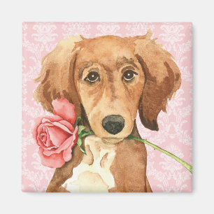 Imán Saluki subió tarjeta del día de San Valentín