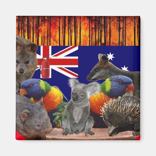 Imán Salva nuestras casas - Extinguish (Frente)