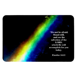 IMÁN SALVACIÓN DEL SEÑOR