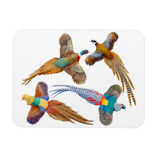 Imán salvaje ornamental del premio de los pájaro