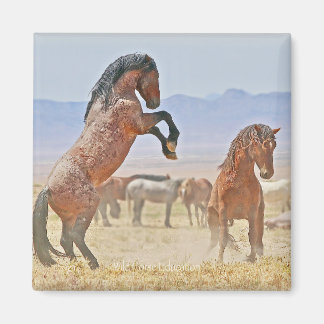 Imán salvaje y libre