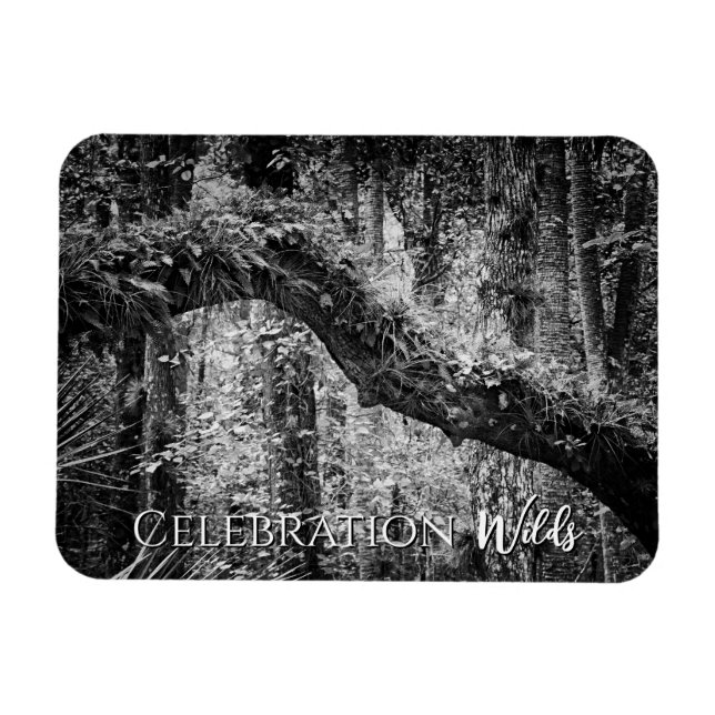 Imán Salvajes de celebración (Horizontal)