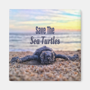 Imán Salvar a las tortugas marinas