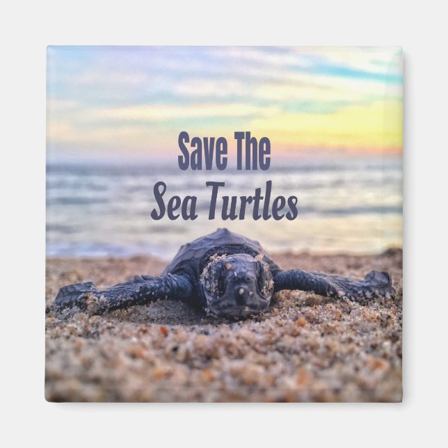 Imán Salvar a las tortugas marinas (Frente)