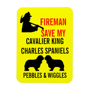 Imán Salvar a mis dos Cavalier King Charles Spaniel Dog