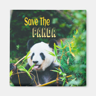Imán Salvar el Panda