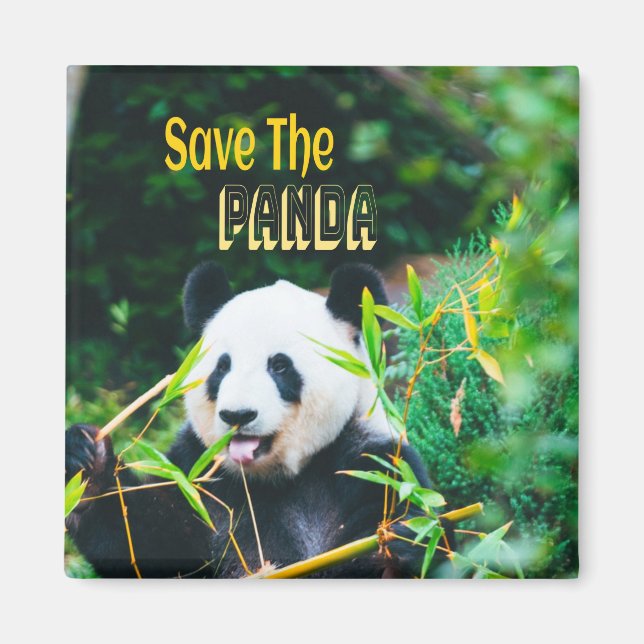 Imán Salvar el Panda (Frente)