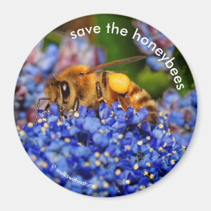 Imán Salven a las abejas que polinizan a California Lil