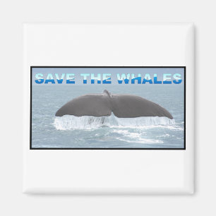 Imán Salven a las ballenas