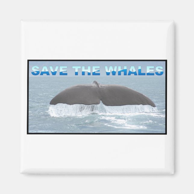 Imán Salven a las ballenas (Frente)