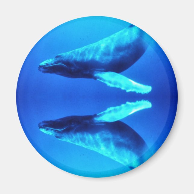 Imán Salven a las ballenas (Frente)