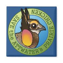 Salven el pollo de la pradera de Attwater