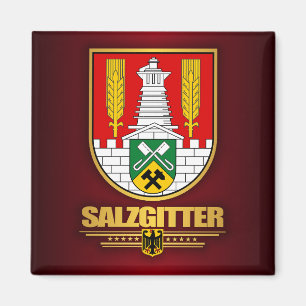 Imán Salzgitter