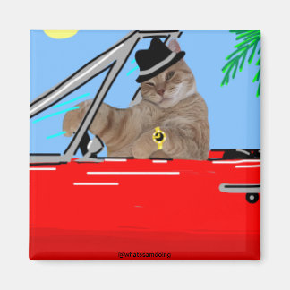 Imán Sam Le Cat Baller Cat Magnet