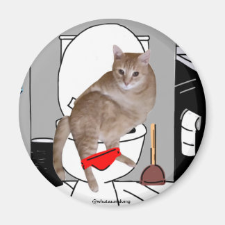 Imán Sam Le Cat Privacy Please Magnet