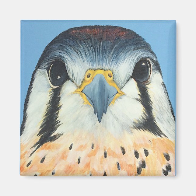 Imán Sam, un estadounidense kestral (Frente)