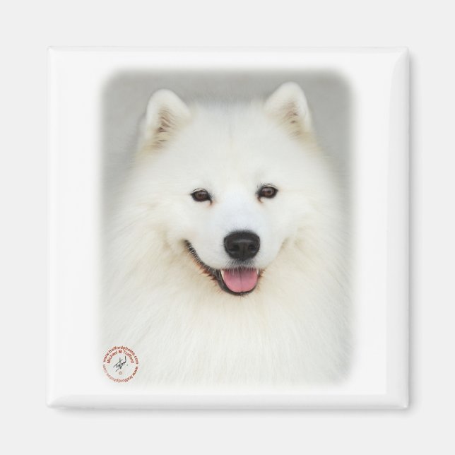 Imán Samoyed 9Y566D-019 (Frente)
