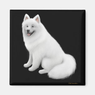 Imán Samoyed Dog Magnet