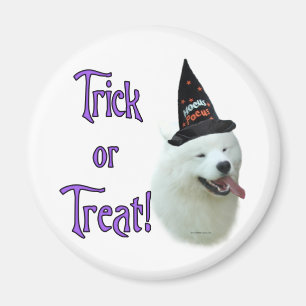 Imán Samoyed Trick